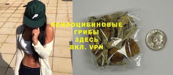 ПСИЛОЦИБИНОВЫЕ ГРИБЫ Белоозёрский