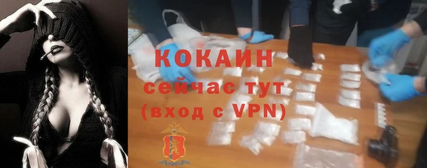 apvp Богданович