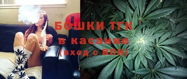 ПСИЛОЦИБИНОВЫЕ ГРИБЫ Белоозёрский