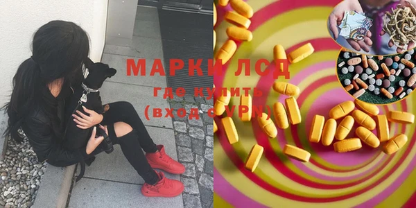 ПСИЛОЦИБИНОВЫЕ ГРИБЫ Белоозёрский