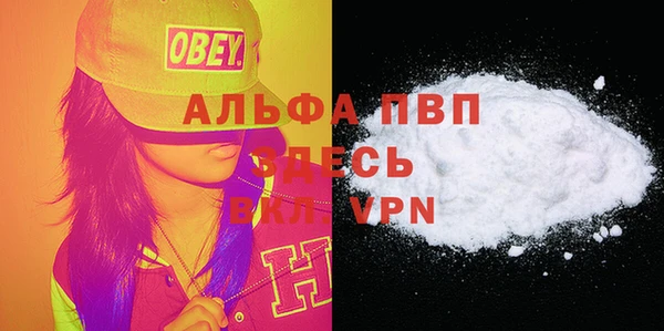 ПСИЛОЦИБИНОВЫЕ ГРИБЫ Белоозёрский