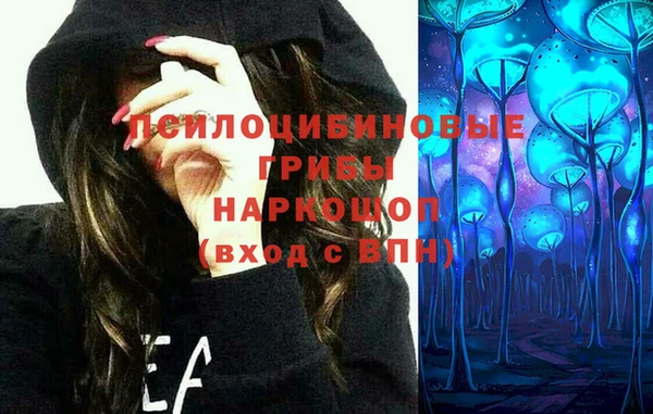 apvp Богданович