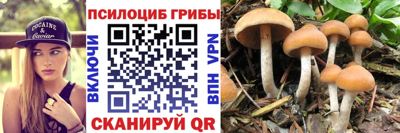 Псилоцибиновые грибы мухоморы  продажа наркотиков  Велиж 